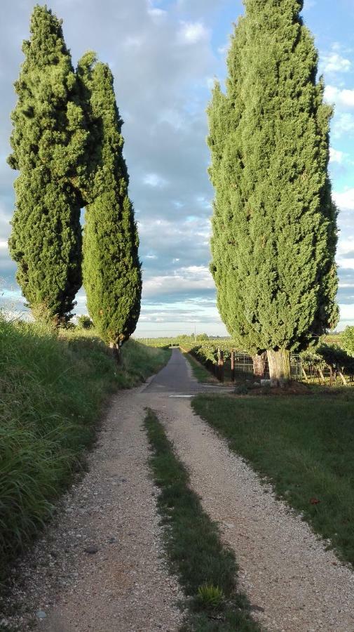 B&B Da Miriam Castelnuovo del Garda Ngoại thất bức ảnh